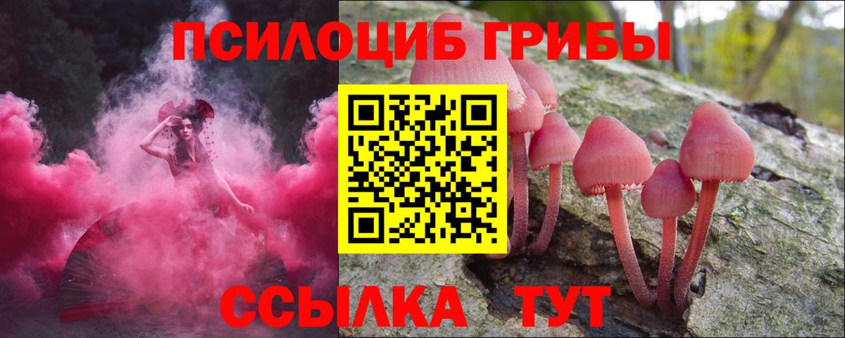 Псилоцибиновые грибы мухоморы Всеволожск